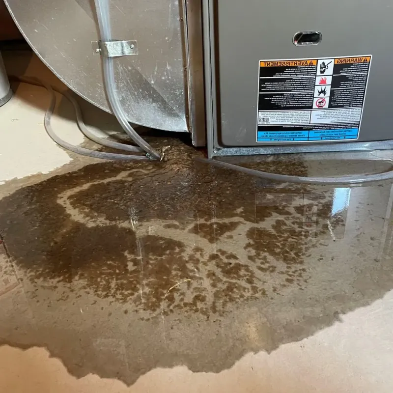 Pipe Burst and Leak Restoration in Bel-Nor, MO